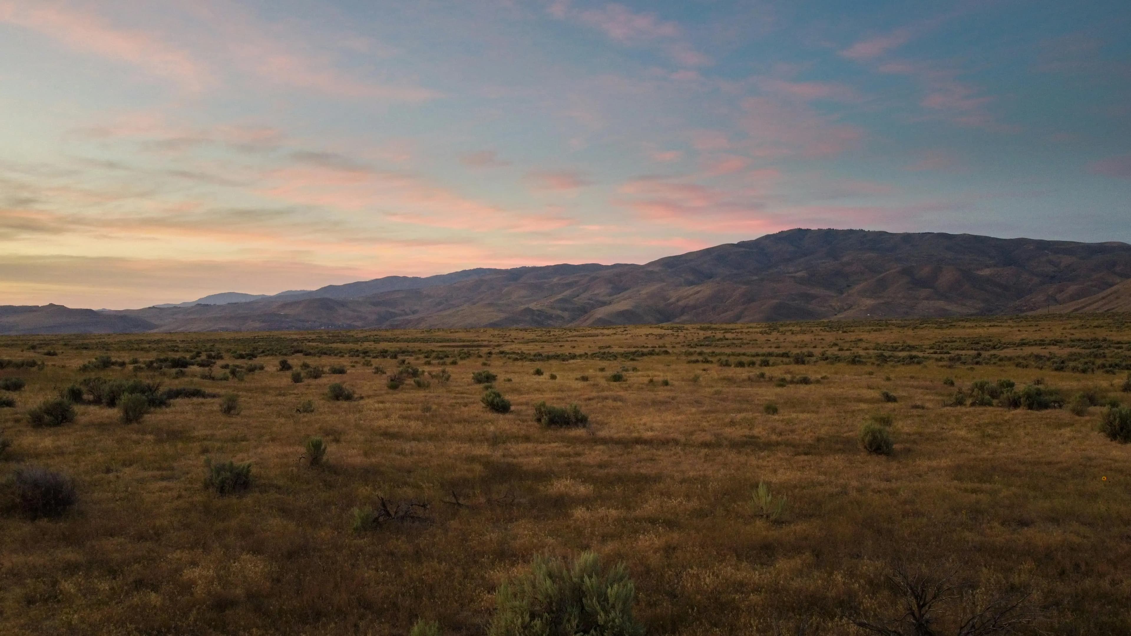 Mongolian steppe landscape